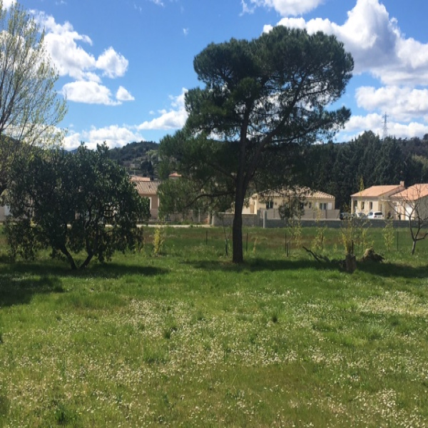 Offres de vente Terrain Saint-Martin-de-Valgalgues 30520